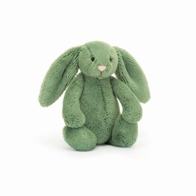 Jellycat Bashful Ivy Bunnies New Zealand | SQEID5937